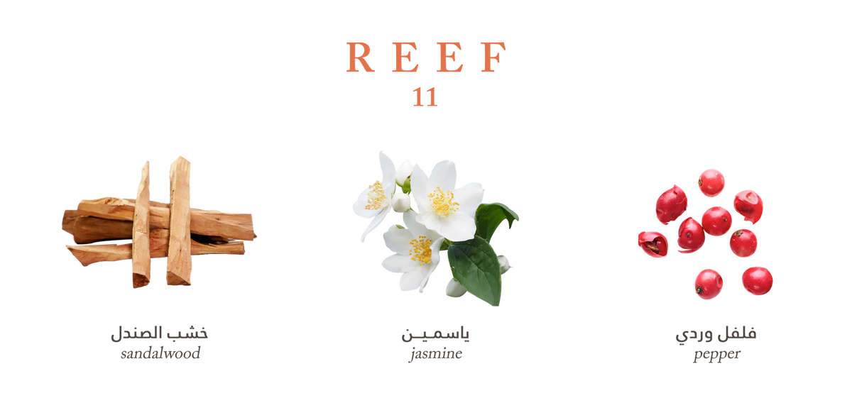 Reef 11 – Deep Sandalwood Sophistication