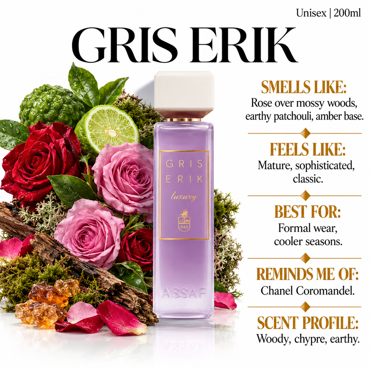 Assaf Gris Erik