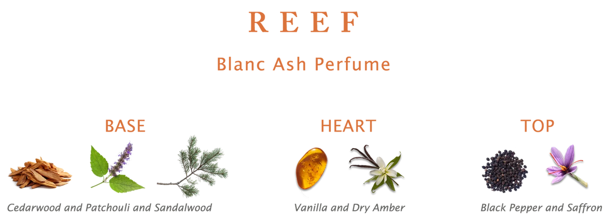 Reef Blanc Ash