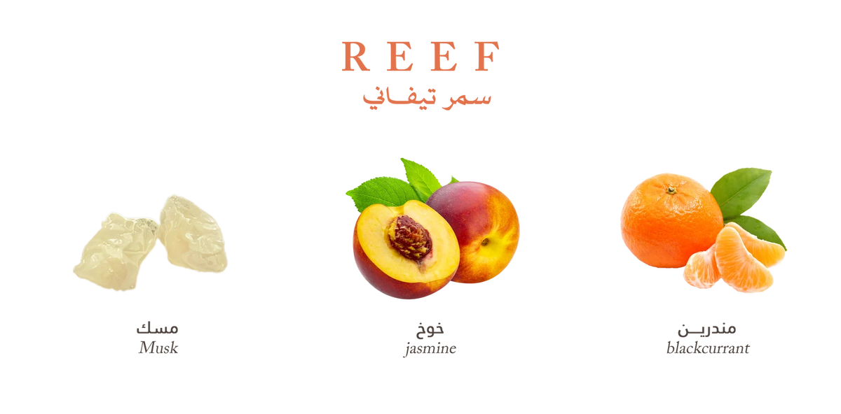 Reef Tiffany – Summer Fresh Musk