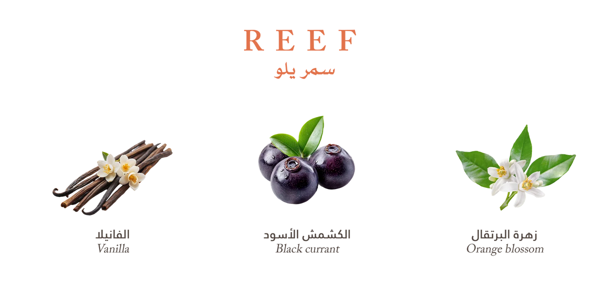 Reef Yellow – Velvet Vanilla Cradle