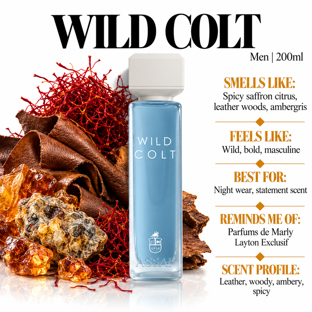 Assaf Wild Colt