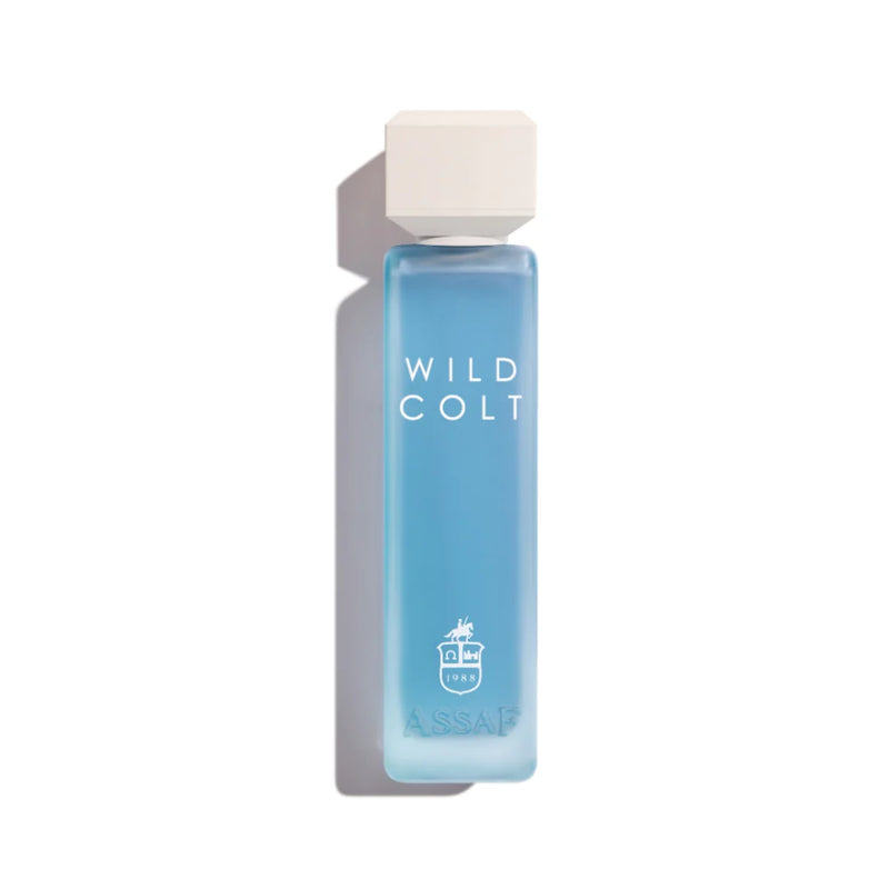 Assaf Wild Colt