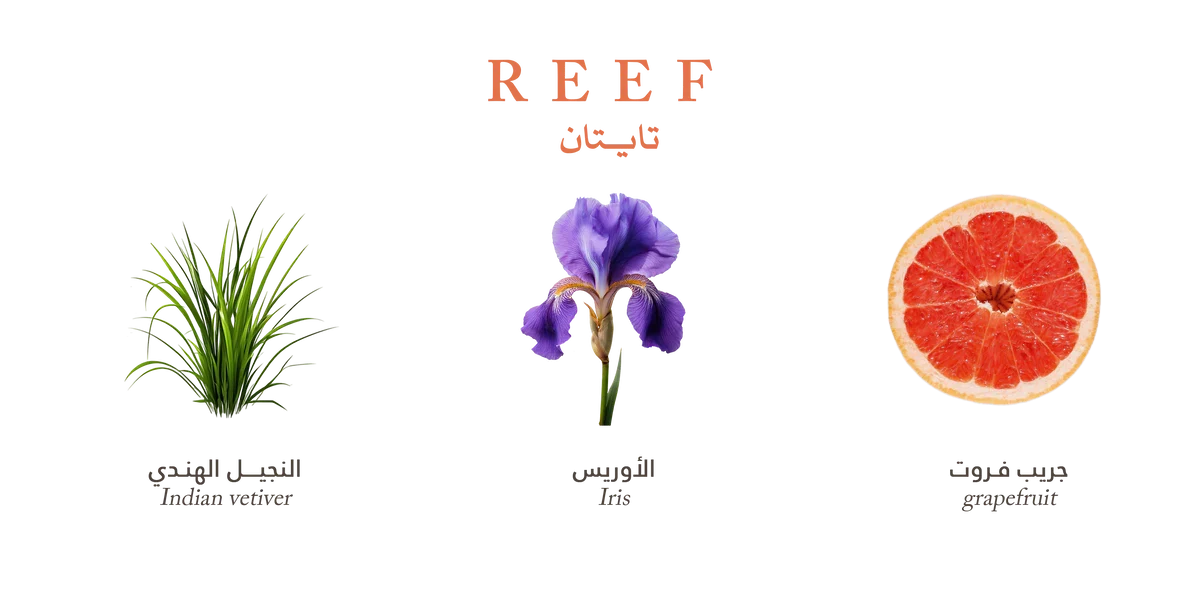 Reef Titan Body Spray