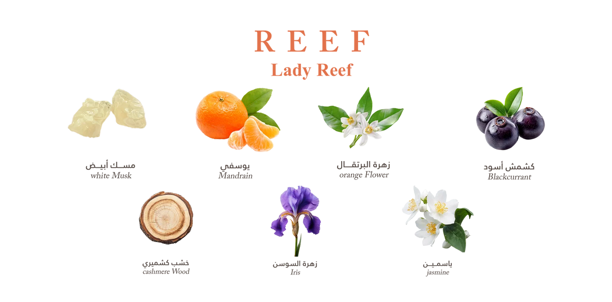 Reef Lady – Cashmere Blossom
