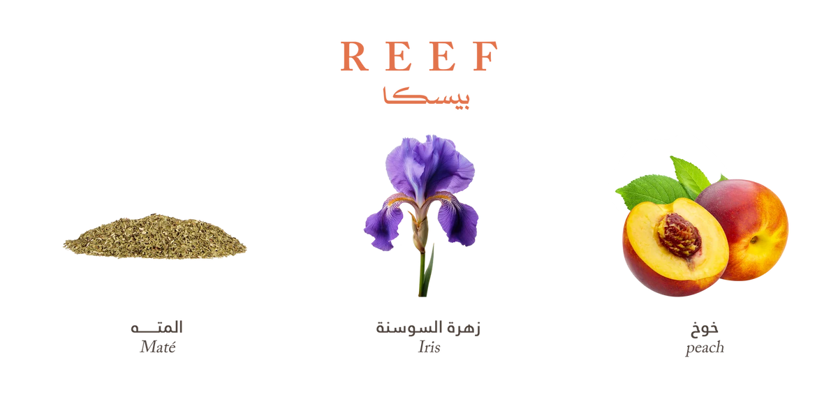 Reef Pesca – Peach Floral Radiance